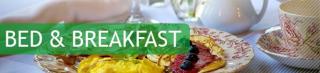 Bed & Breakfast De kandelaar