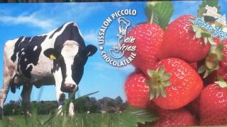 Piccolo IJs en Chocolade