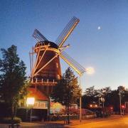 De Jonge Dikkert